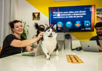 Imagem mostra pessoas trabalhando em seus computadores e em cima da mesa há um gatinho andando. Uma das pessoas faz carinho nele.