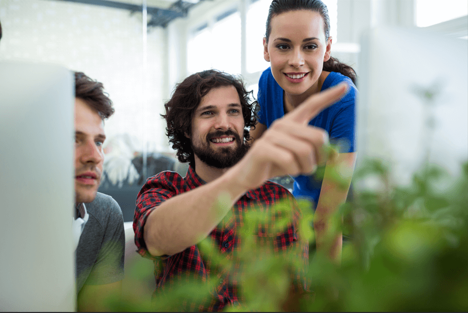 Imagem mostra um grupo de pessoas no trabalho, apontado para tela do computador. Na frente deles existem plantas.